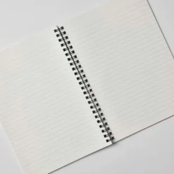 Apica | Cuaderno CD Twin Ring A5 Peach (Momo)