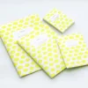 Apica | Libreta Hocco A6 Lemon