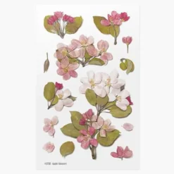 Appree | Pegatinas de Flores Prensadas Apple Blossom