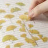 Appree | Pegatinas de Flores Prensadas Ginkgo