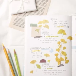 Appree | Pegatinas de Flores Prensadas Ginkgo
