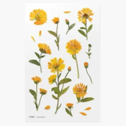 Appree | Pegatinas de Flores Prensadas Calendula