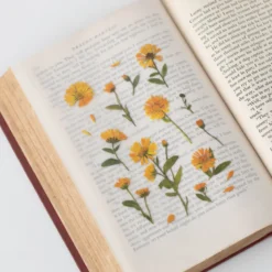 Appree | Pegatinas de Flores Prensadas Calendula