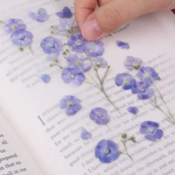 Appree | Pegatinas de Flores Prensadas Flax