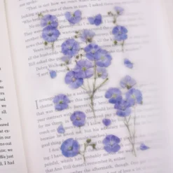 Appree | Pegatinas de Flores Prensadas Flax