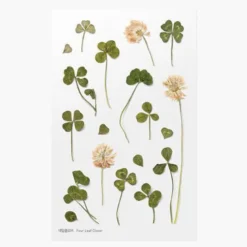 Appree | Pegatinas de Flores Prensadas Four Leaf Clover