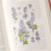 Appree | Pegatinas de Flores Prensadas Lilac