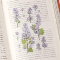 Appree | Pegatinas de Flores Prensadas Lilac