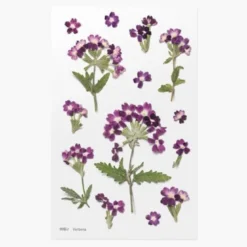 Appree | Pegatinas de Flores Prensadas Verbena