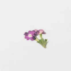 Appree | Pegatinas de Flores Prensadas Verbena