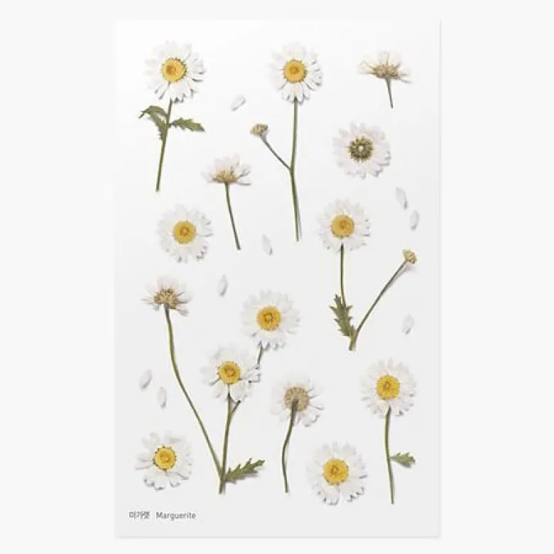 Appree | Pegatinas Flores Prensadas Marguerite