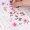 Appree | Pegatinas Flores Prensadas Rose Of Sharon