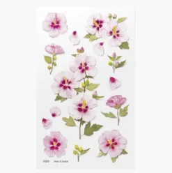 Appree | Pegatinas Flores Prensadas Rose Of Sharon