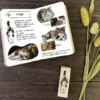 Arte CO | Sello Calico Cat