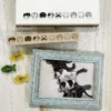 Arte CO | Sello Cats Eating in a Row