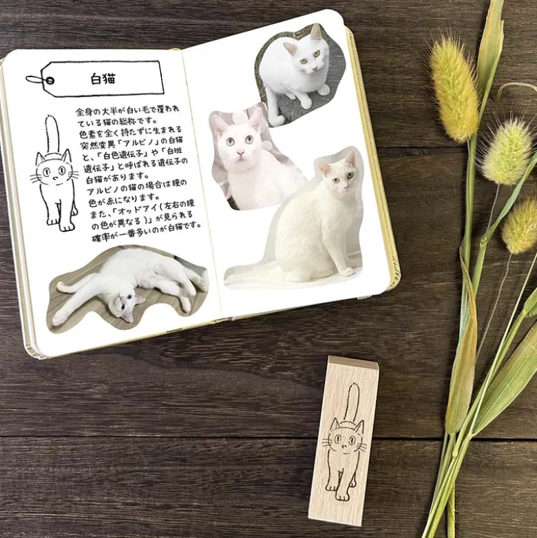Arte CO | Sello White Cat