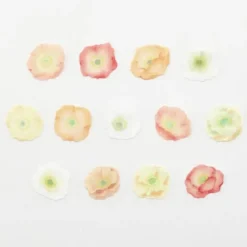 Bande | Pegatinas en Rollo Poppy Flower