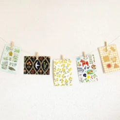 Cozyca | Postal Midori Asano Relaxing Life