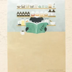 Cozyca | Set de Carta Mariko Fukuoka Indri's Pharmacy