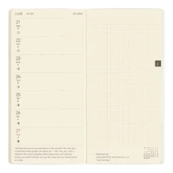 Hobonichi | Agenda Hobonichi Weeks MEGA Sneaker: Lime Green 2027