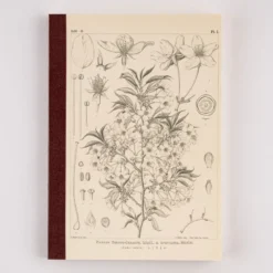 Hobonichi | Cuaderno Hobonichi Notebook A5 Tomitaro Makino (Cuadros)