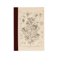 Hobonichi | Cuaderno Hobonichi Notebook A6 Tomitaro Makino (Cuadros)