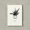 Katie Leamon | Postal Plants Bonjour
