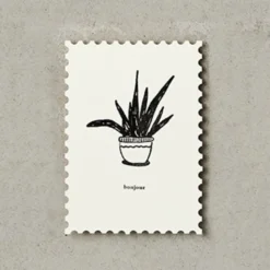 Katie Leamon | Postal Plants Bonjour