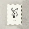 Katie Leamon | Postal Plants For You