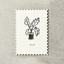 Katie Leamon | Postal Plants For You