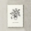 Katie Leamon | Postal Plants You're Wonderful