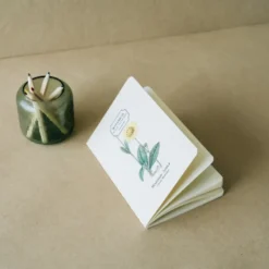Kokonote | Pack de 3 Cuadernos A6 Botanical Wild Flowers