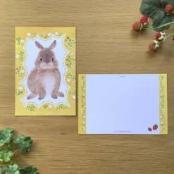 4Legs | Postal Rabbit in Spring