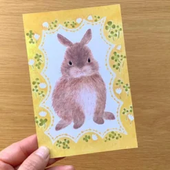 4Legs | Postal Rabbit in Spring