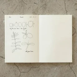Midori | Cuaderno MD Midori Journal A5 Frame