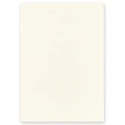 Midori | Cuaderno MD Midori Notebook THICK A5 Liso