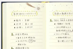 Midori | Diario Anual Star