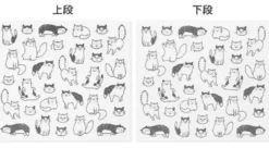 Midori | Pegatinas Chat Cat