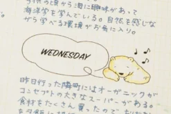 Midori | Sello Entintado Pequeño Bear Speech Balloon