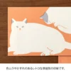 Midori | Set de Sobres Kimagure Cat