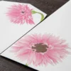 Midori | Set de Sobres Serigrafía Gerbera