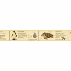MT Masking Tape | Encyclopedia Marine Creature Washi Tape