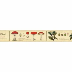 MT Masking Tape | Encyclopedia Plant Washi Tape
