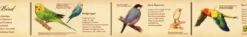 MT Masking Tape | Encyclopedia Birds Washi Tape