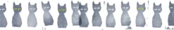 MT Masking Tape | Mina Perhonen Kuro-Neko Washi Tape