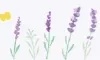 MT Masking Tape | MT x Maruichikyu Lavender Washi Tape