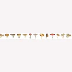 MT Masking Tape | Mushroom Washi Tape
