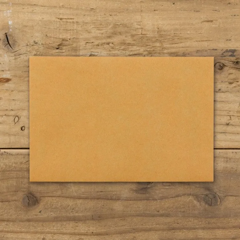 Traveler's Company | Set de Sobres Kraft M Naranja