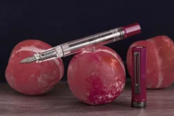 TWSBI | Pluma Estilográfica ECO Plum with Oynx F